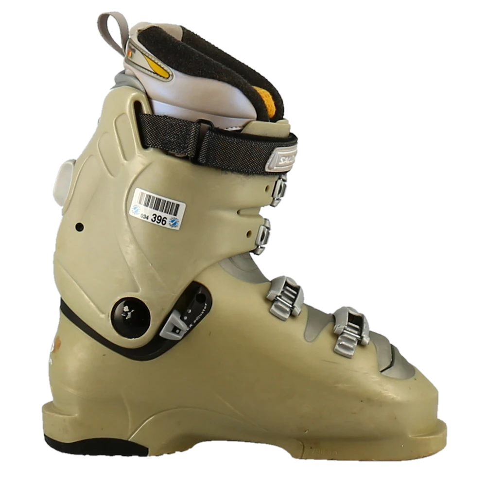 salomon evolution skis